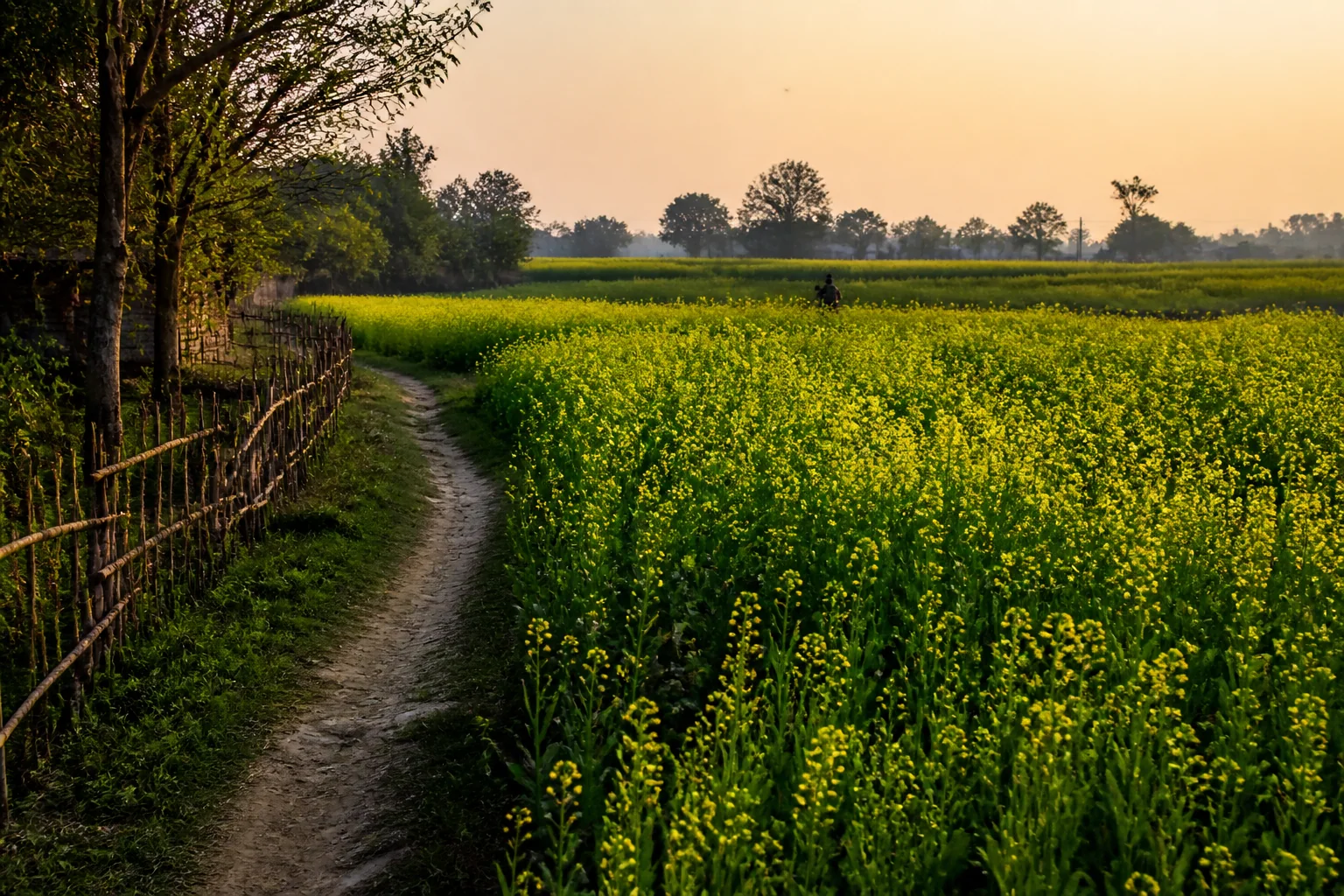 Amethi